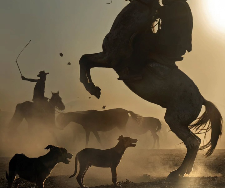 Gallery of Photography by Rarindra Prakarsa - Indonesia