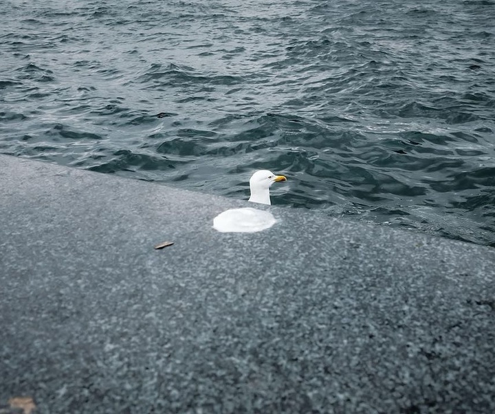 Gallery of Photography by Gökhan Arer - Turkey
