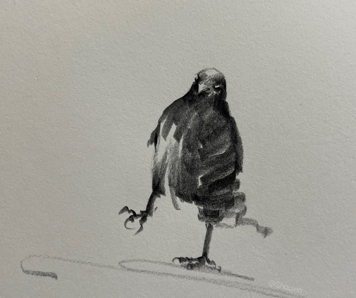 Gallery of Drawing by Shou Xin - China