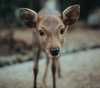 Gallery of Photography by Luke Stackpoole - UK