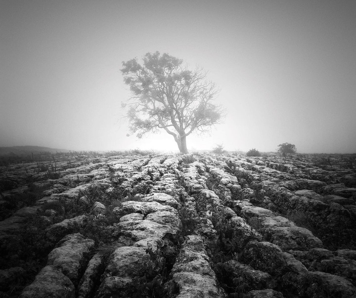 Gallery of photography by Noel Bodle - England