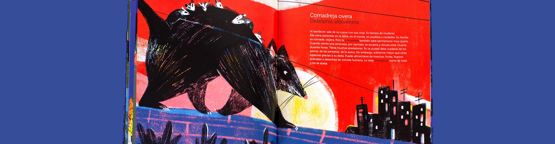 Gallery of Illustration by Cynthia Alonso - Argentina
