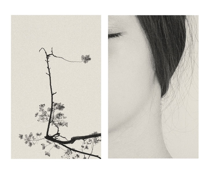 Gallery of Photography by Eva Chupikova - Slovakia