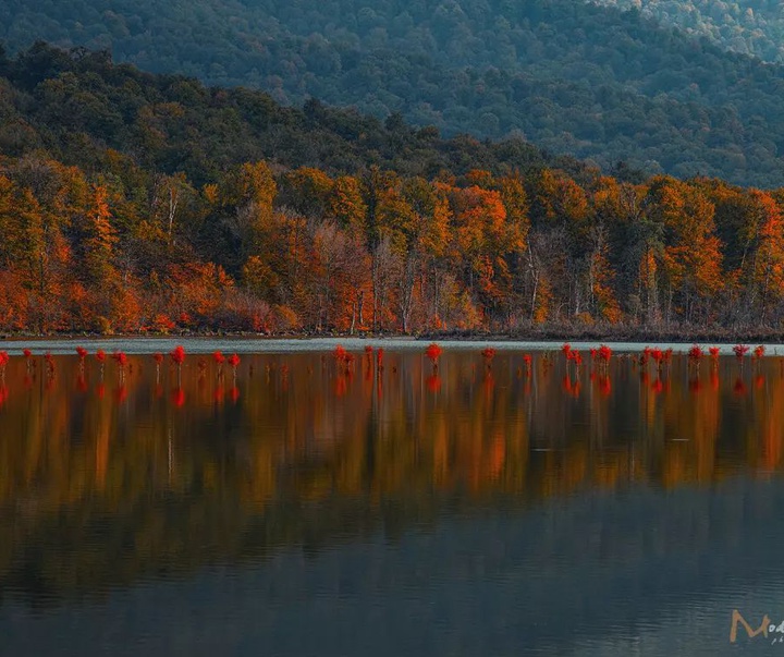 Gallery of Landscape Photography by Mojtaba Dori-Iran