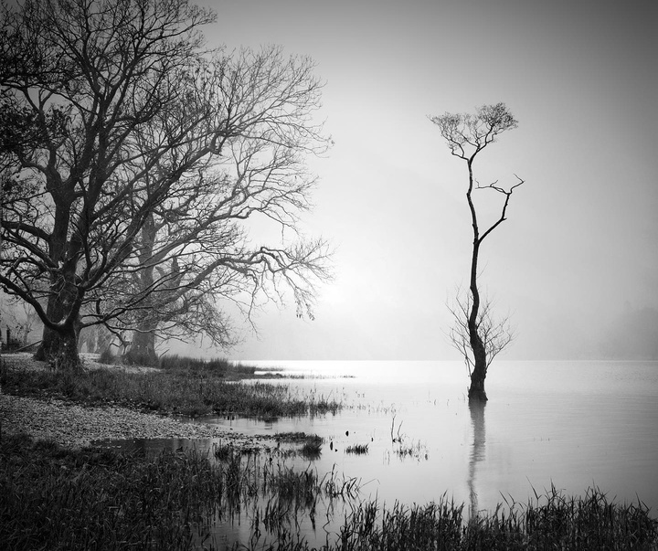 Gallery of photography by Noel Bodle - England