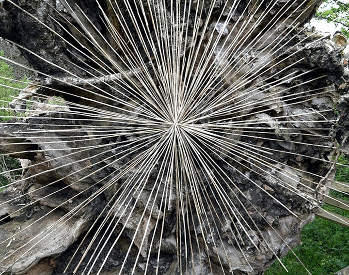 Gallery of Modern Art by Andy Goldsworthy - England