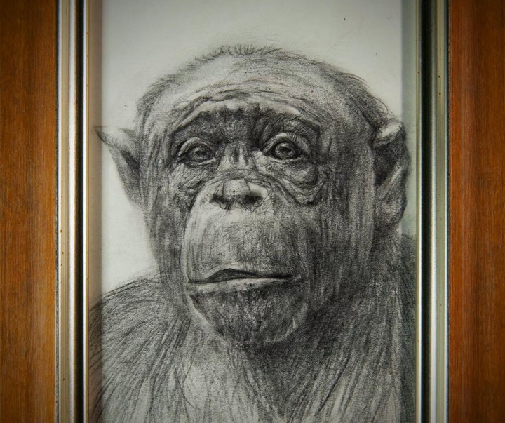 Gallery of Painting by Tomohiro Takagi - Japan