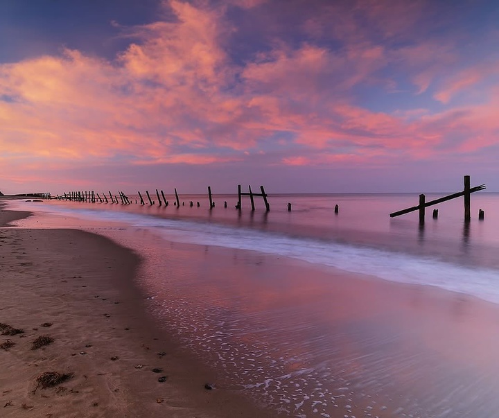 Gallery of Photography by Emma Steele
