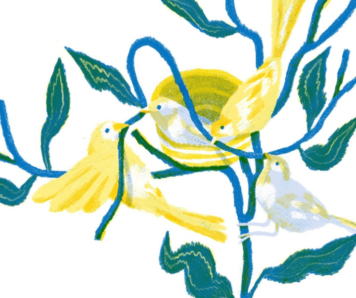Gallery of Illustration by Manon Hermans (manonina) - Belgium