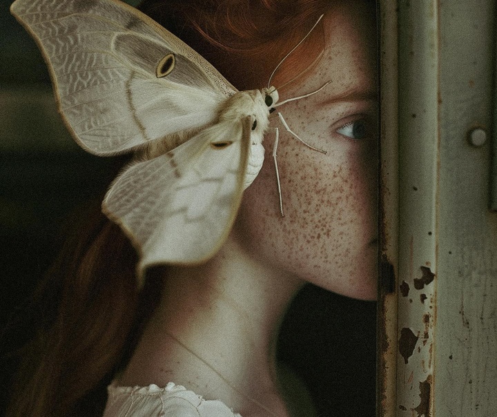 Monika Seitter
