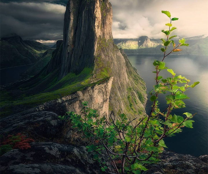 Gallery of Photography by Max Rive - Netherlands