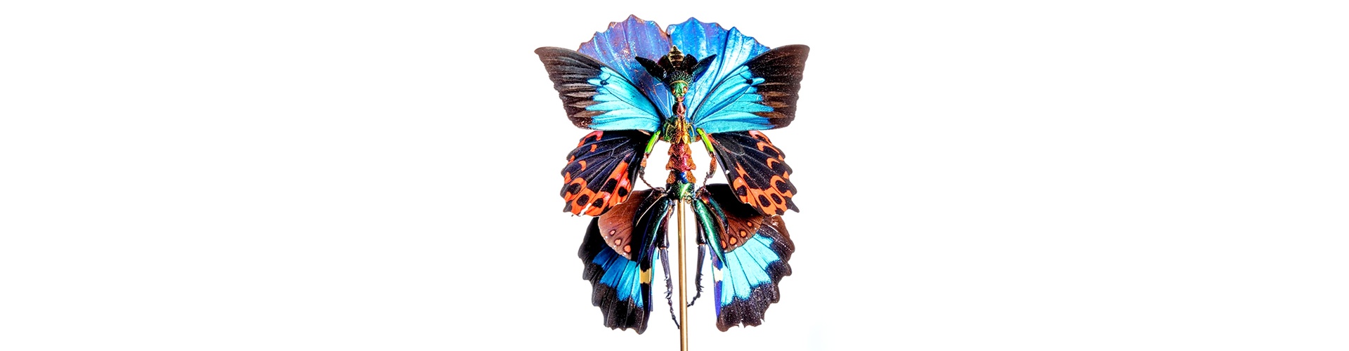 Gallery of Sculpture by Cedric Laquieze - USA