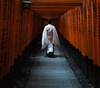 Gallery of Photography by Takashi Yasui - Japan