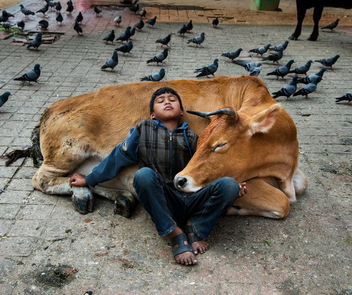 Gallery of Photography by Steve McCurry - USA