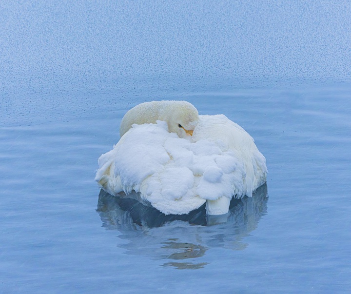 Gallery of Photography by Michael Yamashita - USA