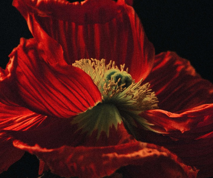 Gallery of Photography by Joe Clarke - UK