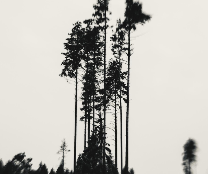 Gallery of Photography by Kalle Saarikko - Finland