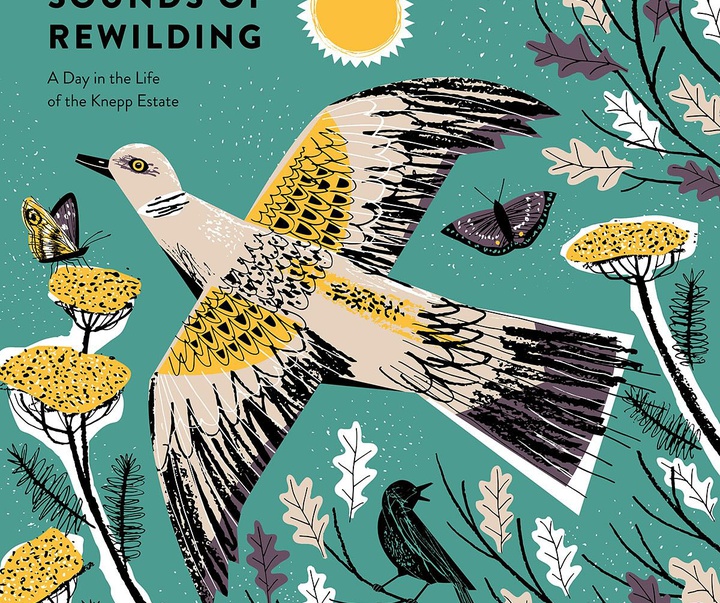 Gallery of Illustration by Matt Johnson - UK