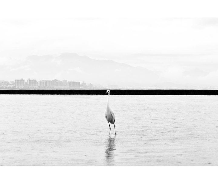 Gallery of Minimal Photography by Marcin Ryczek-Poland