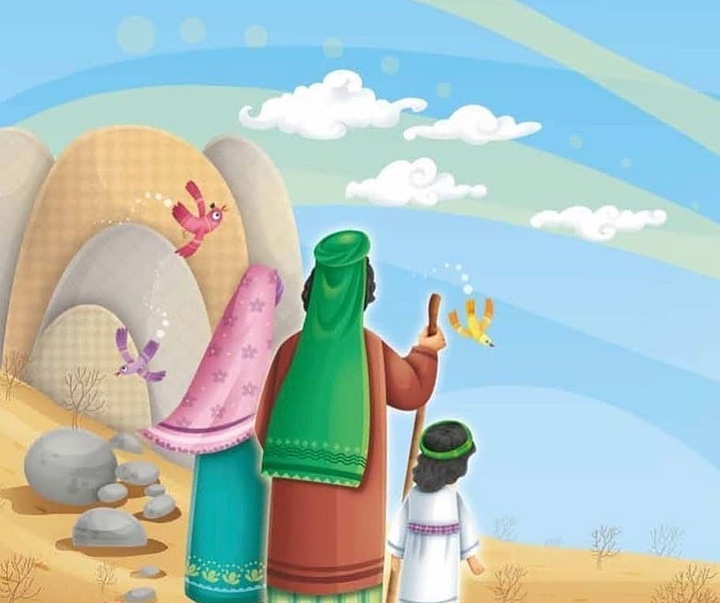 Gallery of illustration by Adam Tahereh Rezai-Iran