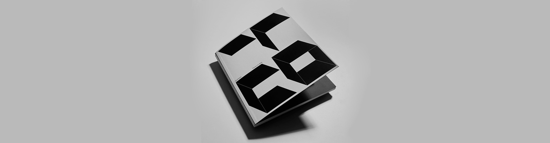 Gallery of Graphic Design by Maximilien Pellegrini - Swiss