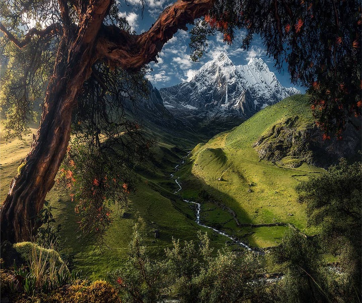 Gallery of Photography by Max Rive - Netherlands