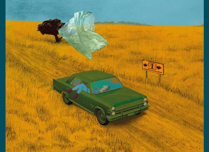 Gallery of Illustration by Sandra Marcela Restrepo - Colombia