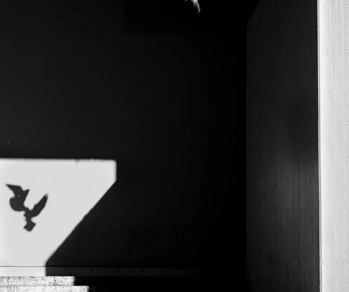 Gallery of Photography by Simone Christina Sander - Germany