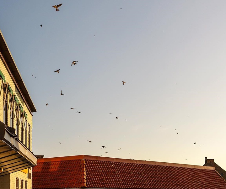 Gallery of Photography by Gustav Gräll - Sweden