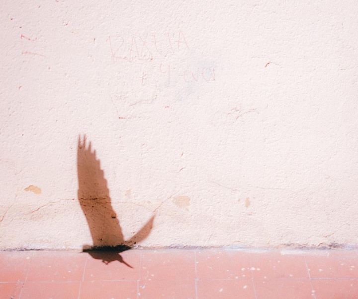 Gallery of Photography by Peter Jonker - Spain