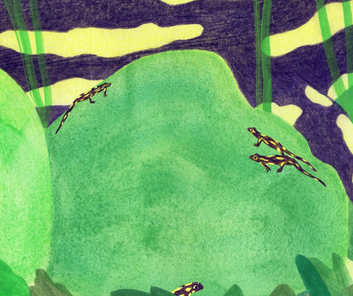 Gallery of Illustration by Lucie Roullier