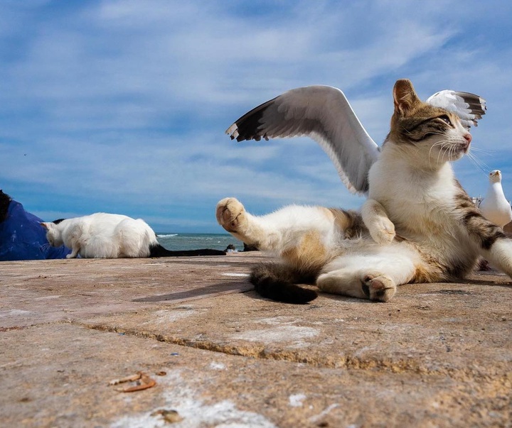 Gallery of Photography by Tavepong Pratoomwong - Thailand