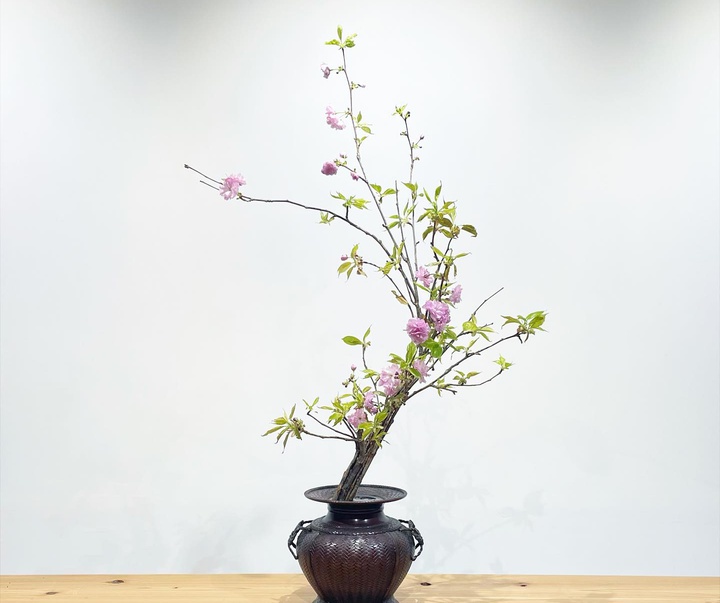 Gallery of Modern Art (Organic art) by Shoshosai - Japan