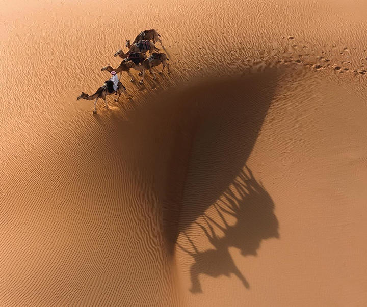 Gallery of Photography by Jord Hammond - UK