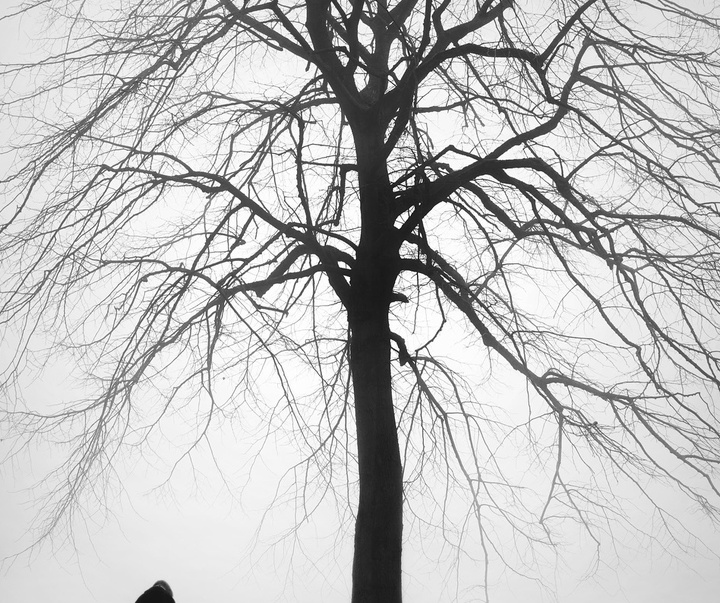 Gallery of Photography by Mania De Praeter - Belgium