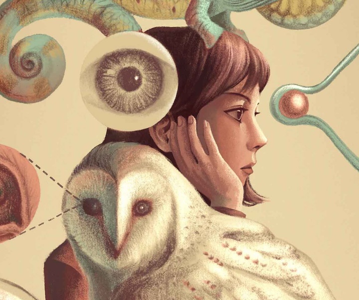 Gallery of Illustration by Ada Zejun Shen - USA