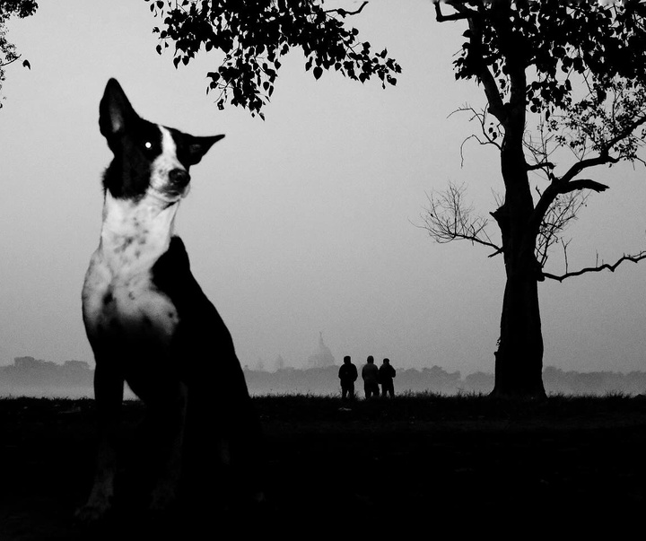 Gallery of Photography by Santanu Dey - India
