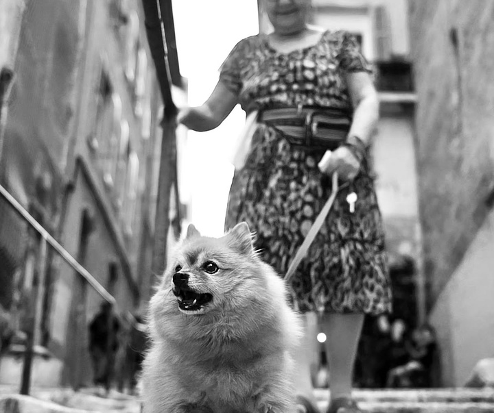 Gallery of Photography by Edgar Lascurain - Mexico