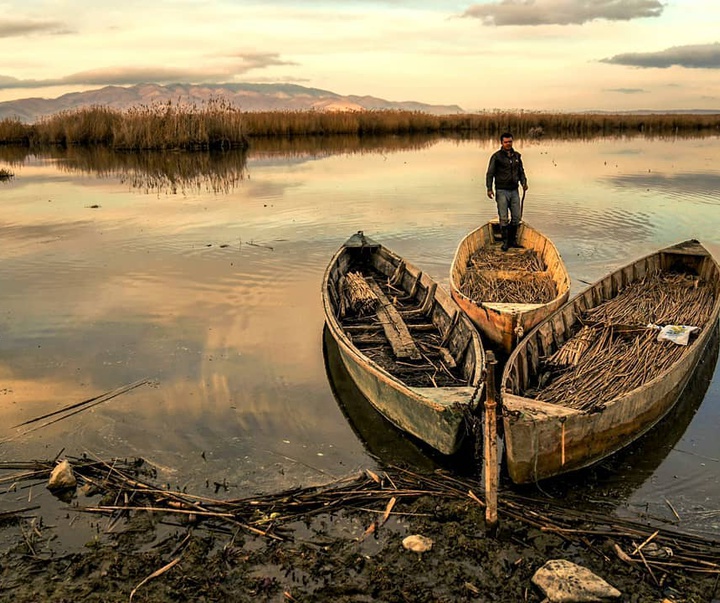 Gallery of photography by Dr.Aylin Yildirim - Turkey