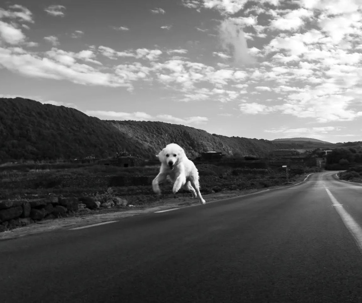 Gallery of Photography by Patrizia Galia - Italy