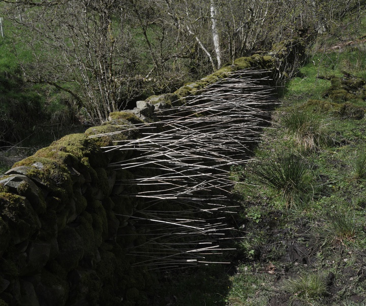Gallery of Modern Art by Andy Goldsworthy - England
