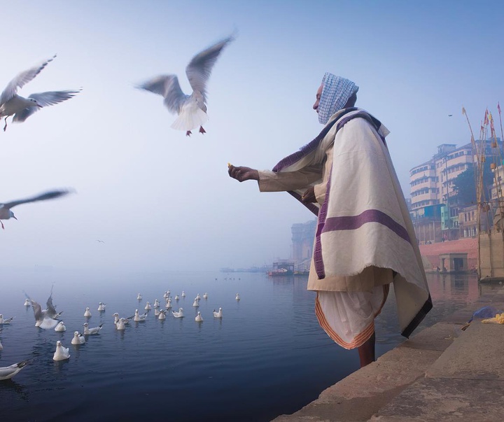 Gallery of Photography by Mohit Khetrapal - India