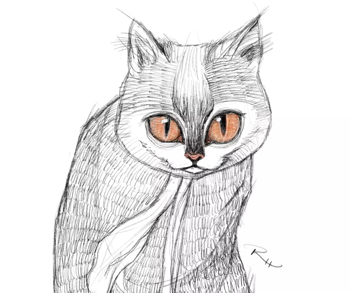 Gallery of Illustration by Rahele HasanZade-Iran