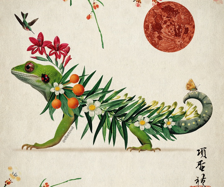 Gallery of Illustration by Beto Valencia - Ecuador