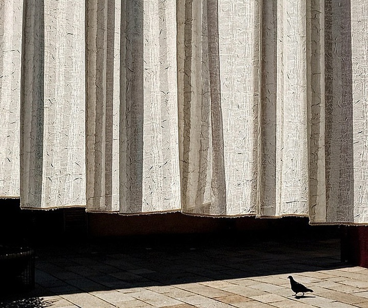 Gallery of Photography by Mirko Saviane - Italy