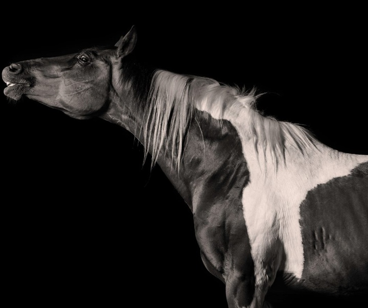 Gallery of Photography by Constance Jaeggi - Switzerland
