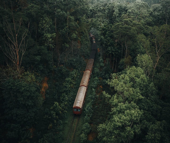 Gallery of Photography by Luke Stackpoole - UK