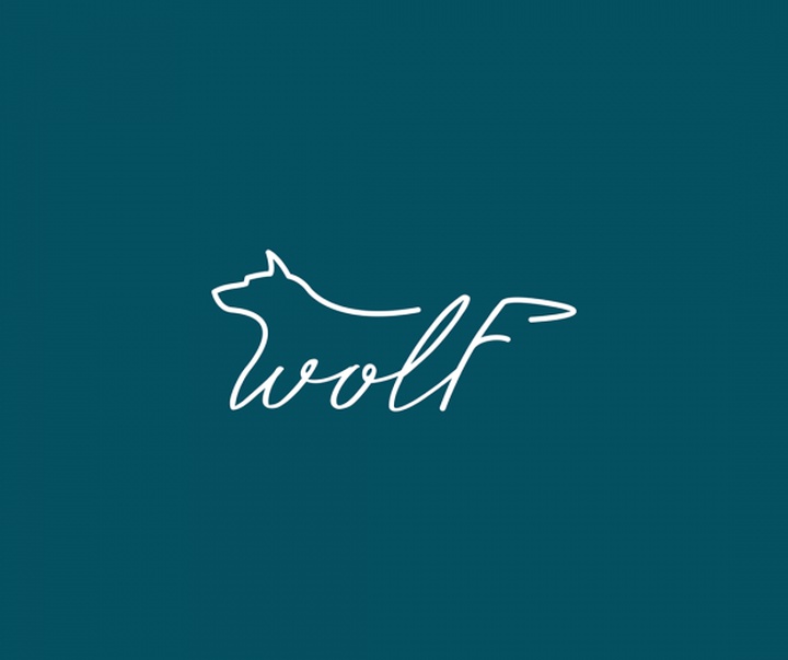 gallery of Graphics by Ramin Nasibov