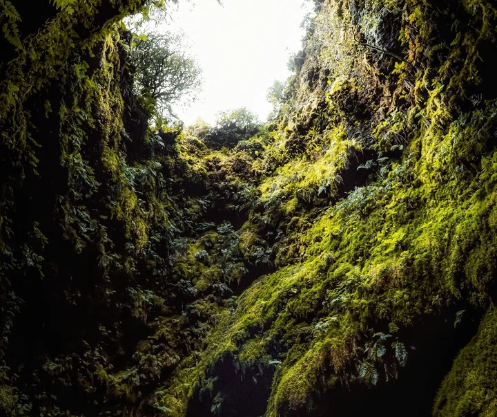 Gallery of Photography by Paulo Alves - Portugal