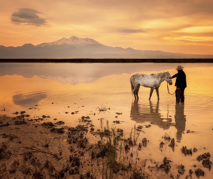 Gallery of Photography by F. Dilek Yurdakul - Turkey